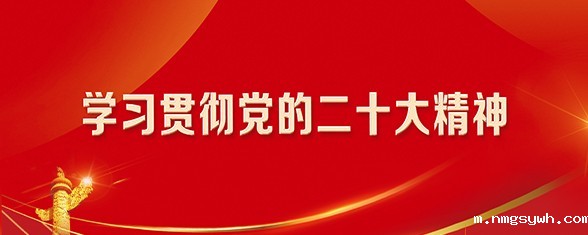 学习贯彻党的二十大精神